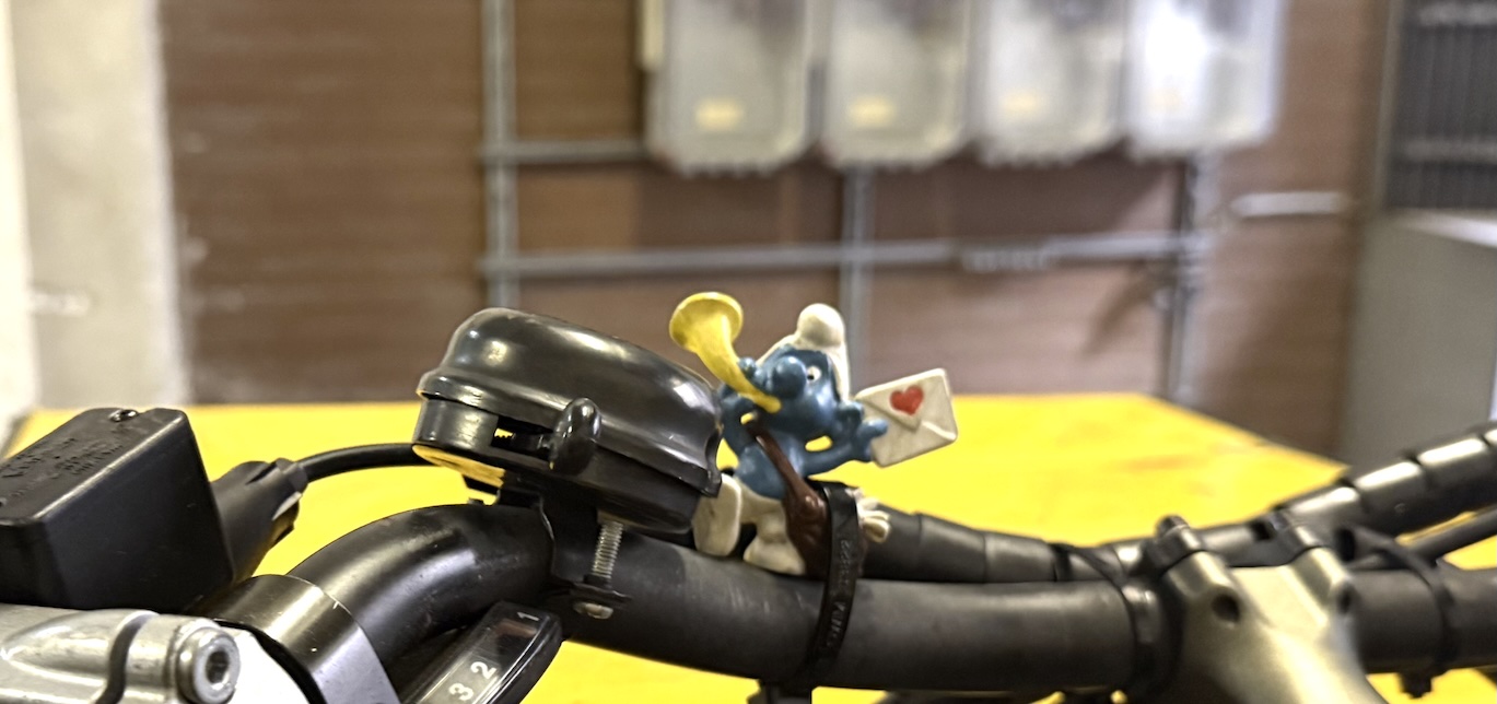 Postschlumpf allein gelassen